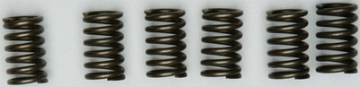 EBC CSK Clutch Spring Set (CSK131)