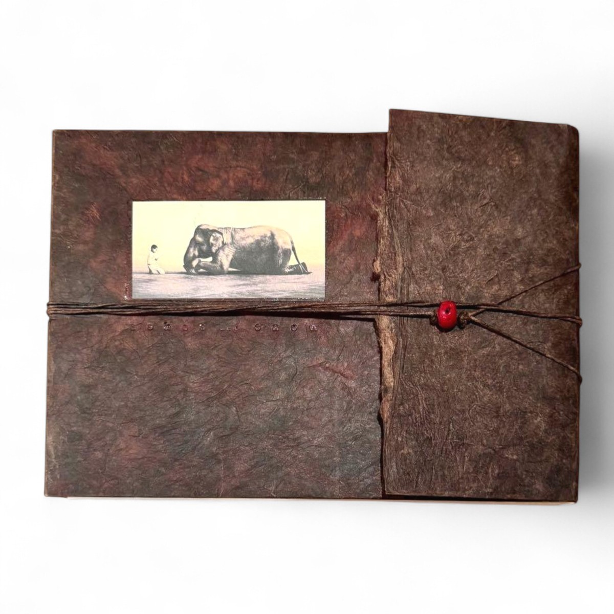 Ashes and Snow Gregory Colbert Photo Book | eBay