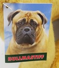 Bild 17 von 43