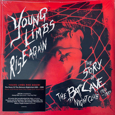Various Young Limbs Rise Again The S LP Comp + LP Comp Vinyl Schallplatte 107