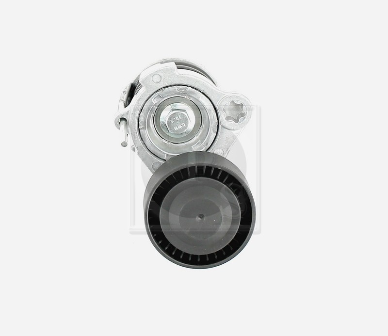 Galet accessoire NPS D110O03 pour supprimer les sifflements moteur de Chevrolet