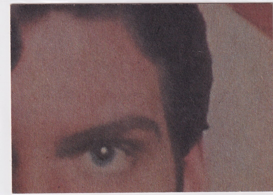 Picture 19 of 147