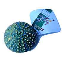 Green Aquarium Resin Ornament Soft Coral Decoration