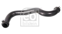 Febi Bilstein 106210 KüHlerschlauch FüR Ford