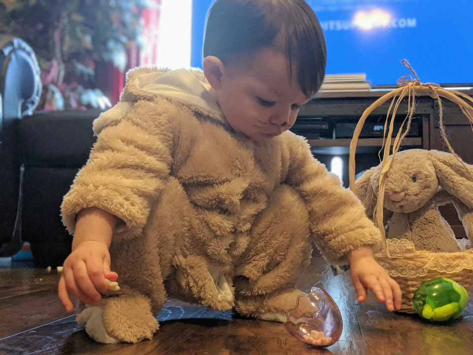 ¿Conejo? Disfraz Halloween o Pascua 9M Solo usado una vez para fotos Foto 4 de 4