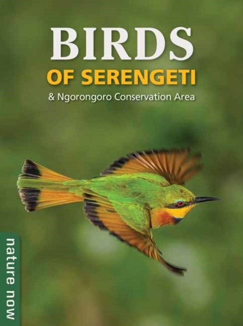 Birds of Serengeti & Ngorongoro Conservation Area by Jean du Plessis