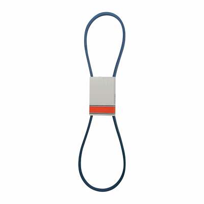 Courroie De Remplacement D&D C330 - Compatible ALLOWAY, Type V-Belt, Dimensions 7/8 X 334in