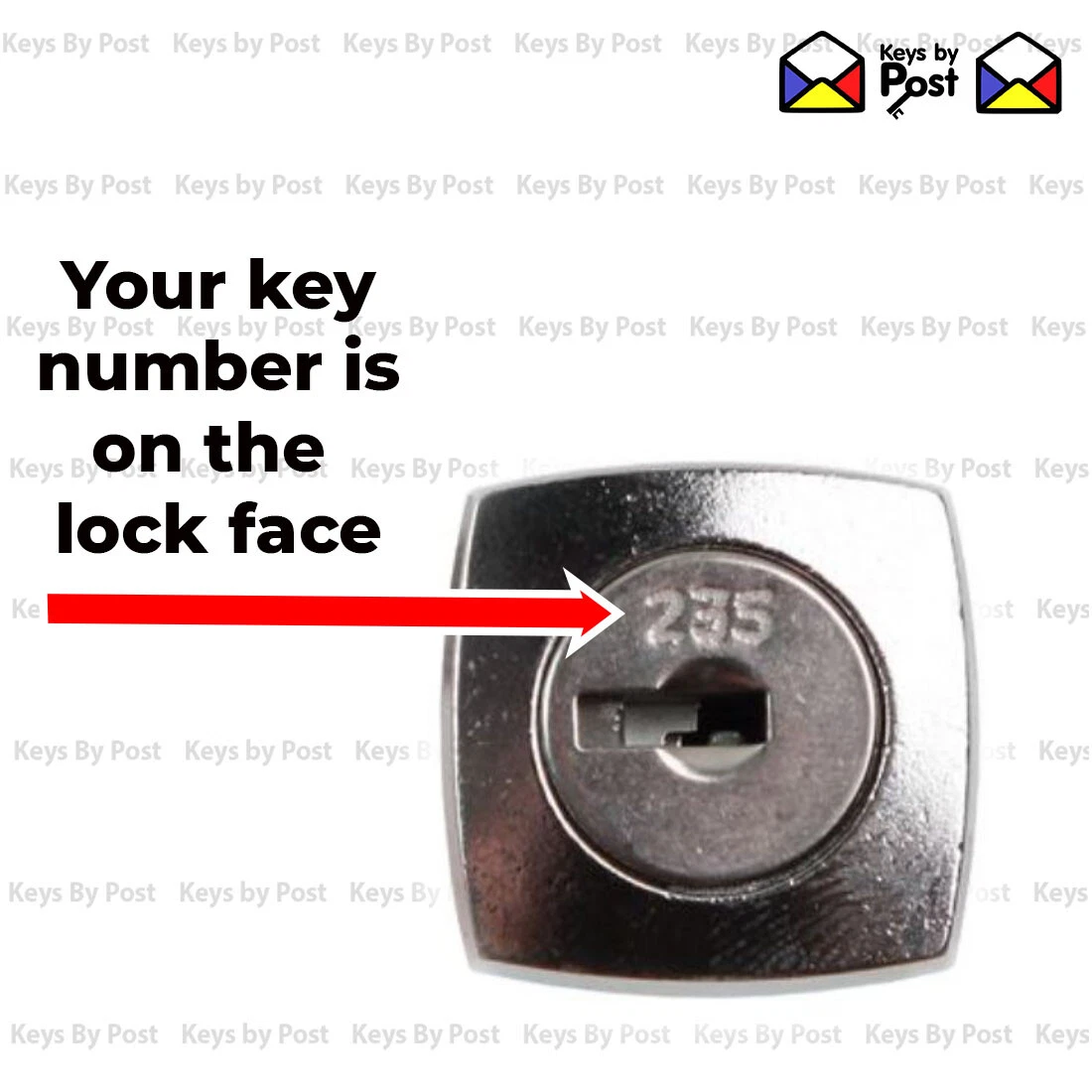 Triumph Filing Locks Matttroy