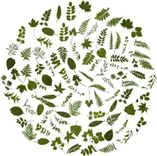 100Pcs Small Green Leaf Stickers,  Nature Plant Stickers Transparent for Scrapbo