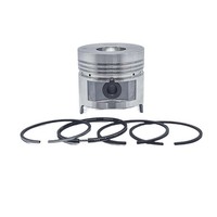 Kolben + Kolbenring-Satz (1,00 Mm ÜBergrößE-96,00 Mm): Kompatibel Mit Ruggerini