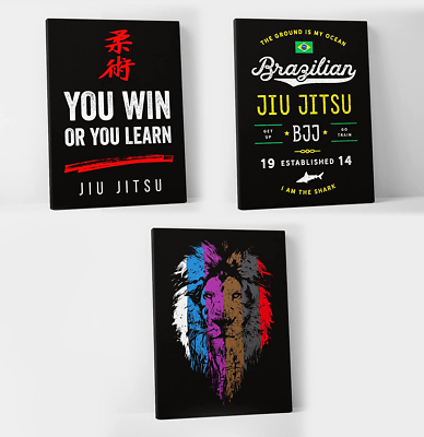 Jiu Jitsu Canvas - Set of 3 - BJJ Wall Art Color - Brazilian (24 X