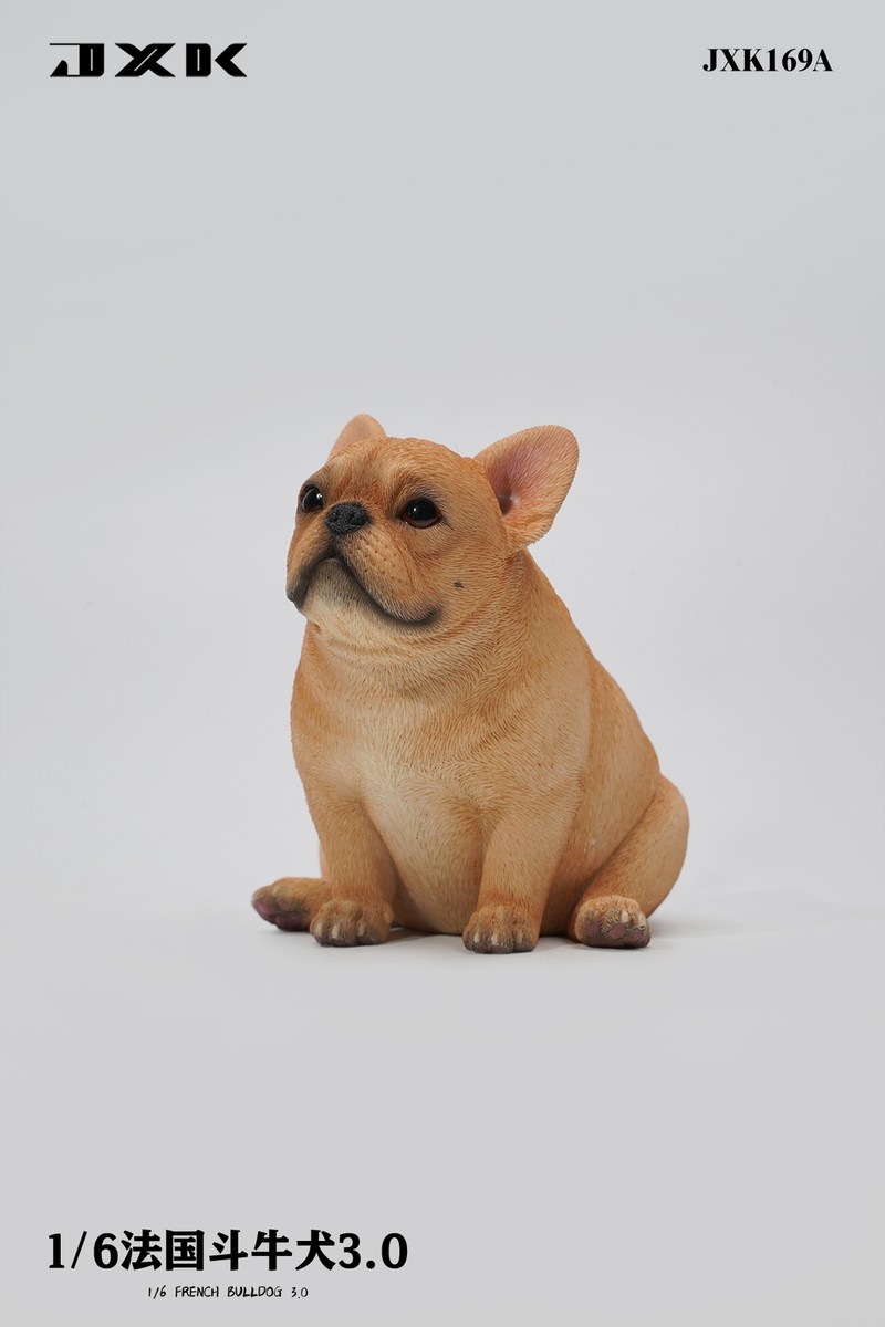 JXK 1/6 French Bulldog 3.0 Model Cute Dog Animal Scene Decor