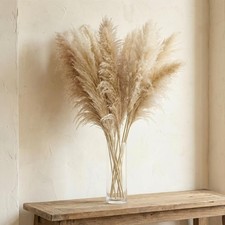 40" inch 10 PCS Dried Pampas Grass Decor Tall, Large Beige Natural Pampas Ste...