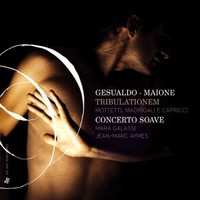 Carlo Gesualdo - Gesualdo/Maione Tribulationem - Cd - G4Z
