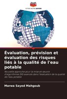 Marwa Sayed Mahgoub | ÉValuation, PréVision Et éValuation Des Risques LiéS à...