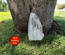 5.4Lbs Lemurian Seed Quartz Crystal Point Brazil Mined 50% Holiday Sale