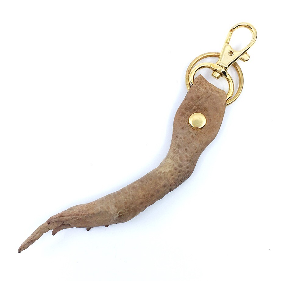 New Genuine Exotic Bufo Marinus Cane Toad Large Foot Key Fob or 4.5"