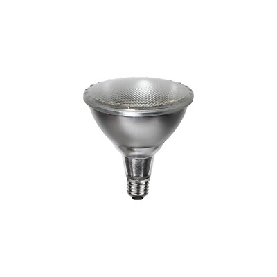 Star Trading LED-Lampe E27 PAR38 Spotlight Outdoor, Silber, Neutralweiß, Außenbe