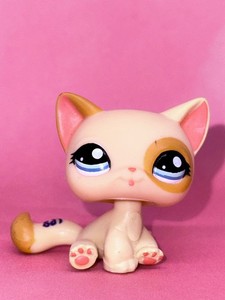 Littlest Pet Shop LPS #1521 - Chat Siamois Original Hasbro, Authentique, Occasion