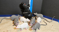 Bag of 8 Mice & 1 Rat Plastic/Rubber Hallowee...