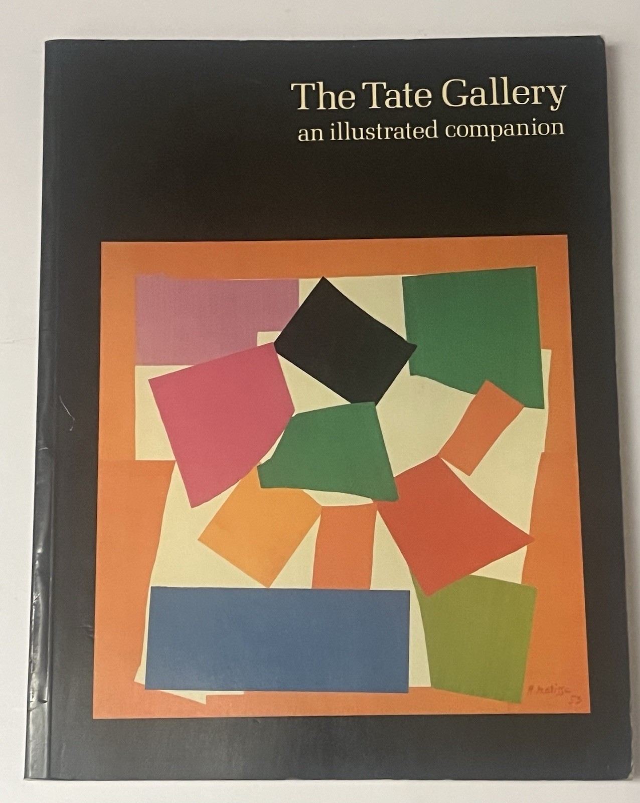 The Tate Gallery -  An Illustrated Companion Art Book
