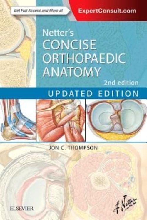 Netter's Concise Orthopaedic Anatomy, Updated Edition Thompson Paperback 2e