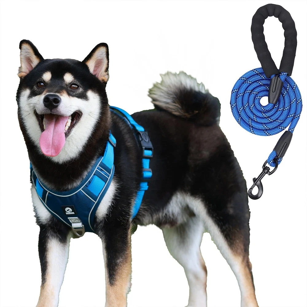 Dog Harness and Leash Set with Handle - Adjustable No-Pull Harness and Leash ...