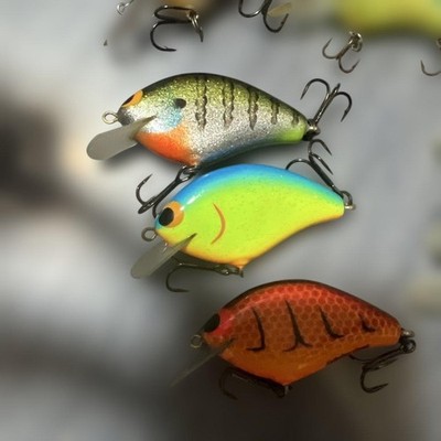 Development C Chip Tiny Blitz OSP Deep Tiny N