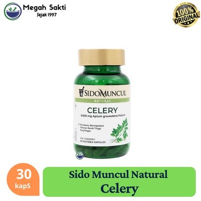 Celery Leaf Herbal 30 Capsules Natural Botanical Wellness Supplement