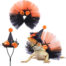 Halloween Bartdrache und Eidechse Hexenkostü...