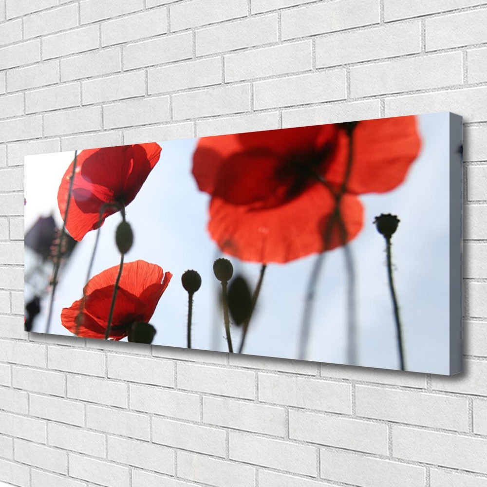 Impression coquelicots 125x50 tableau sur toile premium tendue sur bois de pin