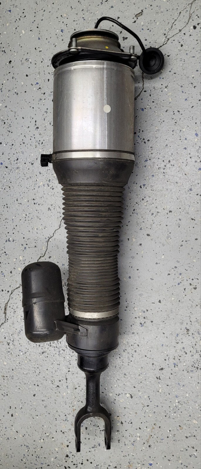  Bentley Air Strut 3W8616039B Spring