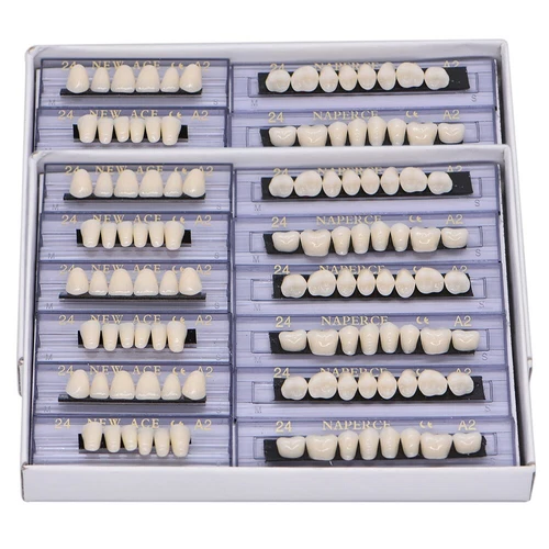 168Pcs Acrylic Resin Denture #24 Dental Upper Lower Shade A2 Teeth Set USA - Picture 5 of 13