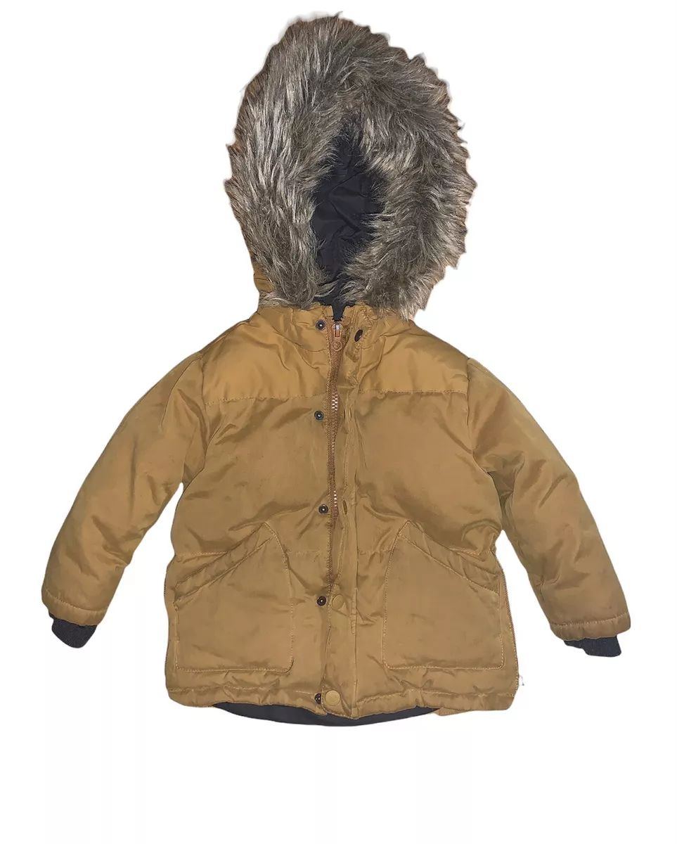 Mustard Boys Coat 2024 www.lightgames.pro