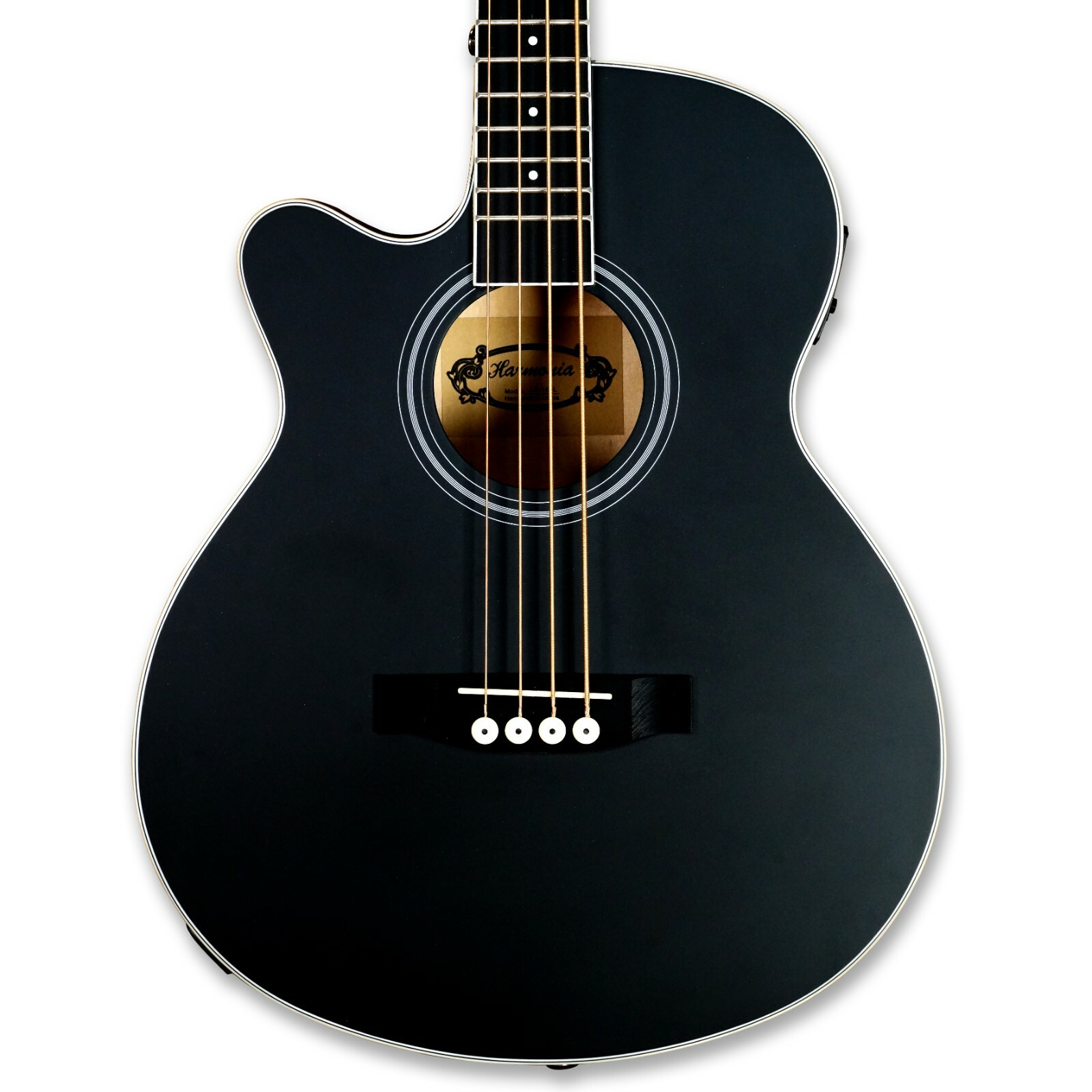 Left handy 4 String Electric Acoustic Bass Mahogany back & sides