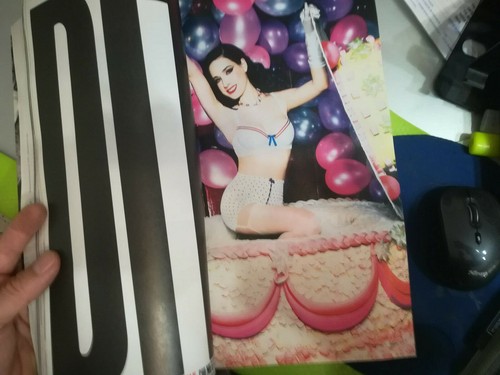 MAX MARZO 2010 DITA VON TESSE BEPPE GRILLO KOONS C.GAINSBOURG TENDENZA LEBOWSKI - Picture 7 of 10