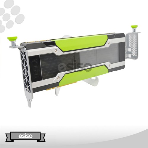 Nvidia tesla m40 12gb
