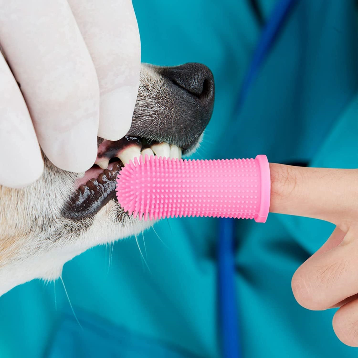 2PCS Dog Finger Toothbrush, Toothbrush with Storage Case, Dog Teeth