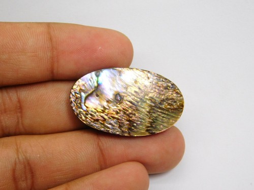 100% Natural Abalone Shell Gemstone Cabochon Loose For Jewelry 42 Cts. ME-4352 - Picture 5 of 5