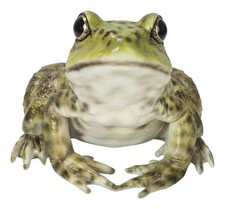 Hi-Line Gift 87822-B American Bullfrog Garden Statue - Green
