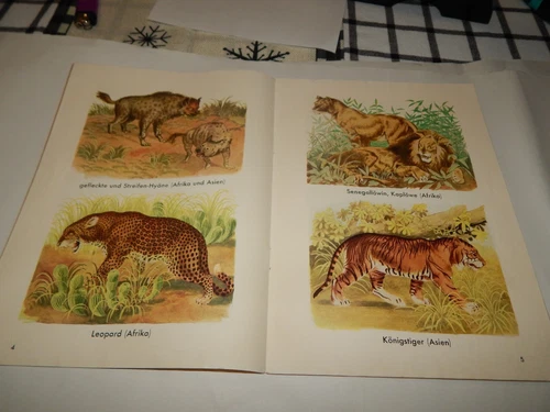 Antique German Childrens Book SierBilderbuch Gaugetiere Soft Cover - 第 4 张/共 6 张