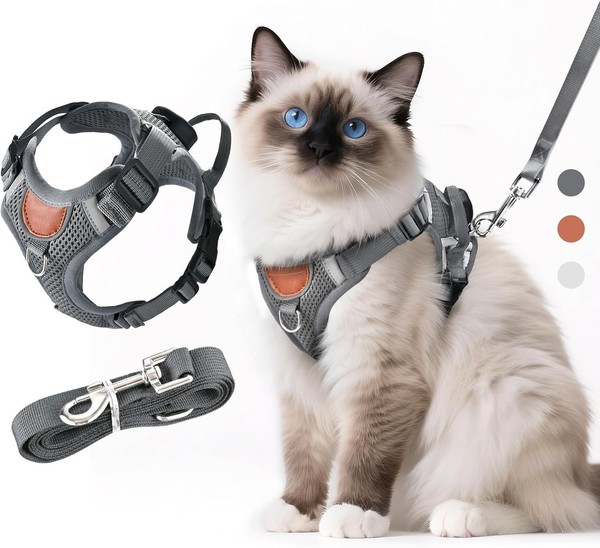 Verstellbares Katzengeschirr Mit Leine Ausbruchsicher, Katze Brustgeschirr Mit-image