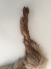 Collo Sciarpa Pelliccia VOLPE PELO LUNGO Morbidissimo grigio 