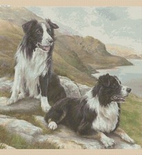 Border Collie's Dogs Counted Cross Stitch CHART No. 2-30