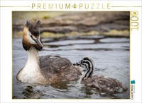 Calvendo Puzzle Allein Unterwegs | 1000 Teile Lege-GrößE 64 × 48 Cm Foto-Puzzle
