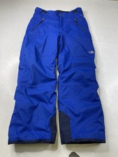 The North Face Boys Freedom Insulated Snowboarding Ski Pants Size Large Dryvent