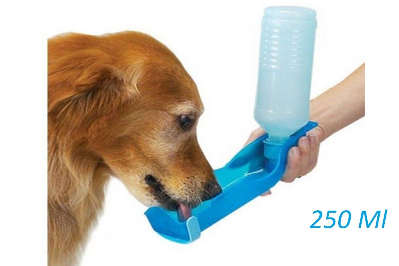 Borraccia per animali portatile beverino bottiglia 250ml per cani da viaggio