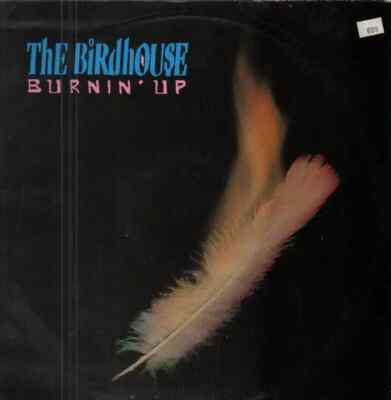 The Birdhouse Burnin Up Vinyl Single 12inch NEAR MINT Vinyl Solution