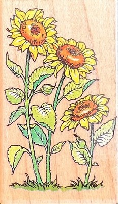 Rubber Stamp Sunflower Field Plants CRAFTSMART Wood Mounted