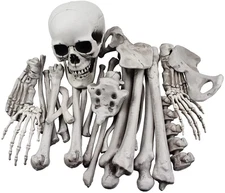 28 Pieces Skeleton Bones and Skull for Halloween Decor or Spooky Graveyard Groun